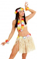 Oversigt: 4-delt hawaiisk kostume sæt