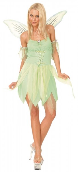 Fairy tale fairy Tinkabilla costume