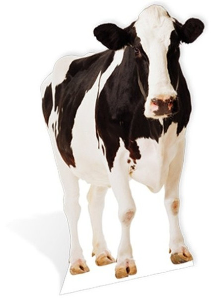 Expositor de vacas de cartón a tamaño natural 1,6 m