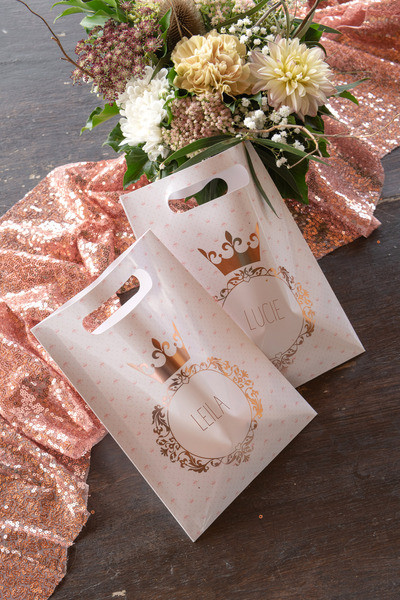 10 sacchetti regalo Princesse 16,5 x 23 cm