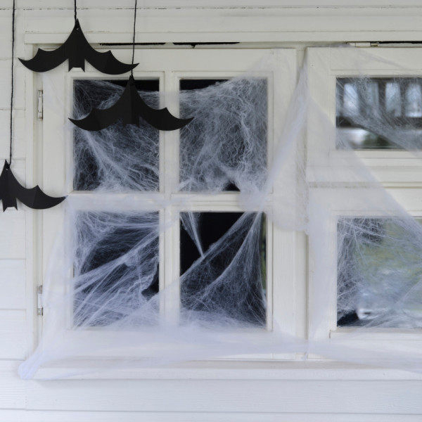 Haunted House Spinnennetz 2