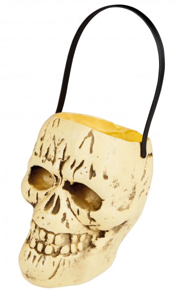Creepy skull bag