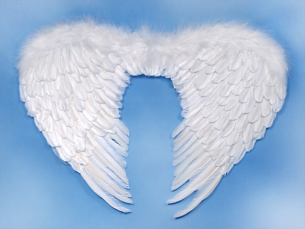 Angel wings Lisa hvid 76 x 55cm 2