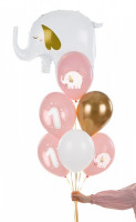 Oversigt: 6 lyserøde glade førsteårs balloner 30 cm