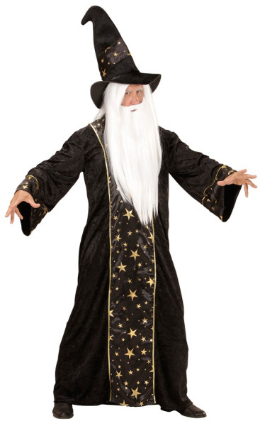 Wizard Albrich mænds kostume 4