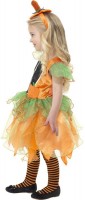 Oversigt: Lille græskar fairy barn kostume