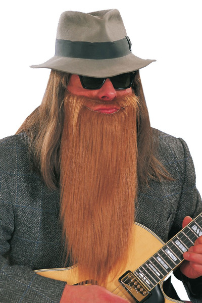 Barba lunga da Rocker Frank in marrone 2