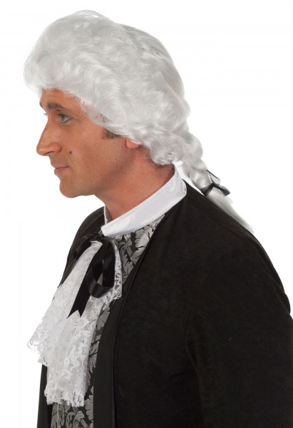 Nobleman Baroque Wig For Men