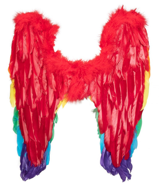 Kolorowe skrzydła anioła Duma 50 x 50 cm