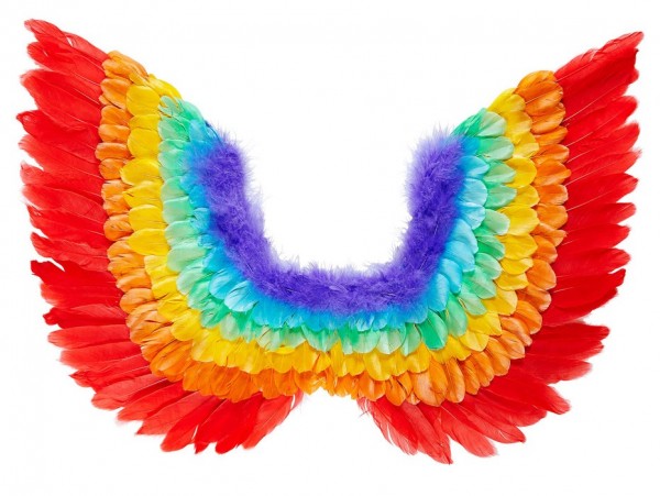 Colorful Alana blaze of colors wings