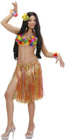 Vista previa: Falda Hawaii Waikiki multicolor 55cm