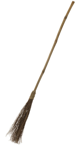 Witches broom 110cm