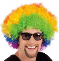 Preview: Colorful afro wig unisex