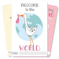 Baby Milestone Karten für Mädchen