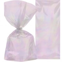 10 transparent-iridescent gift bags