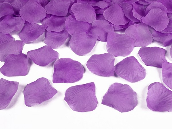 500 petali di rosa in viola chiaro