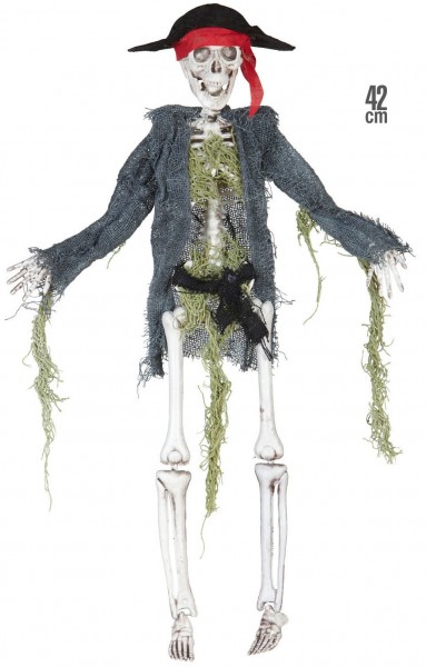Skelett skräckpirat 42cm