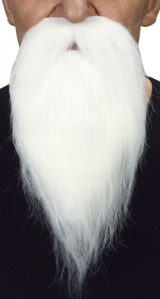 Schnauzer blanc avec une longue barbiche