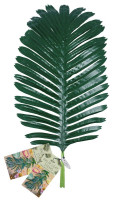 Voorvertoning: 3 Tropical Heat palmbladeren 50cm