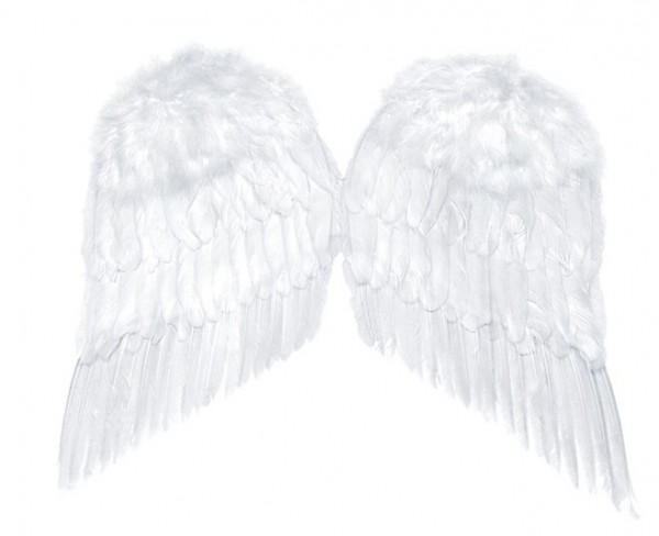 Big Angel Wings 55cm