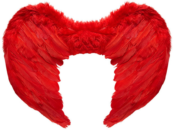 Red angel wings demon wing feathers