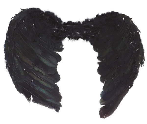 Skrzydła z piór czarne o wymiarach 50cm x 40cm