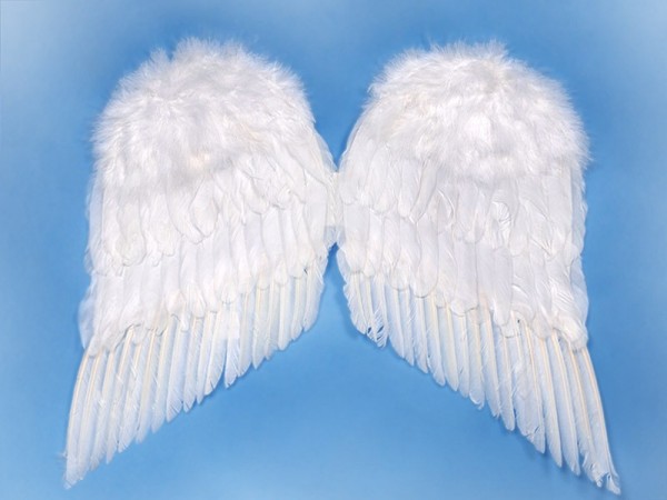Big Angel Wings 55cm 2