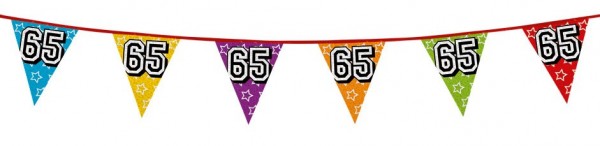 Holographic Bunting 65 Colorful 8m 2