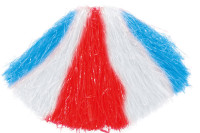 Oversigt: Cheerleader Pompon Go America