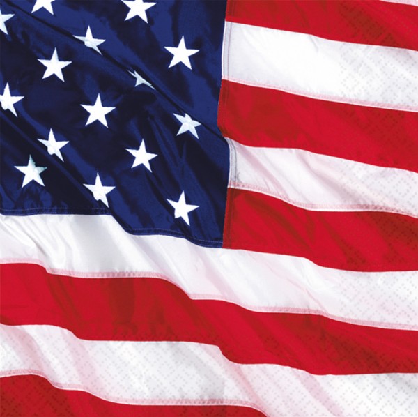16er Set United States Of America Flagge Servietten
