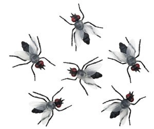 6 mouches de décoration de nuit d'horreur