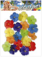 Oversigt: 18 farverige Hawaii dekorative blomster