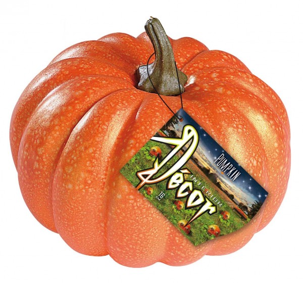 Zucca decorativa Halloween aspetto naturale 16cm