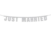 Voorvertoning: Zilveren Just Married Slinger 18x170cm