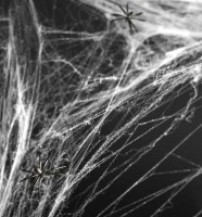 dekoracyjna pajęczyna Halloweenowa z pająkami