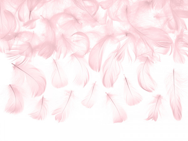 Piume decorative rosa 3g