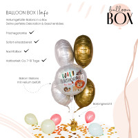Vorschau: Heliumballon in der Box Wild Birthday