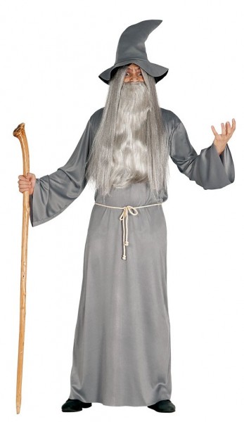 Grey Wizard Men's Costume