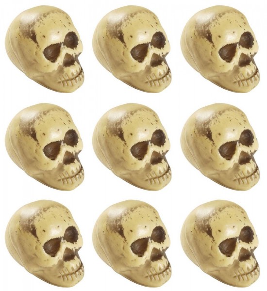 9 Memento Mori Skulls Table Deco 5cm