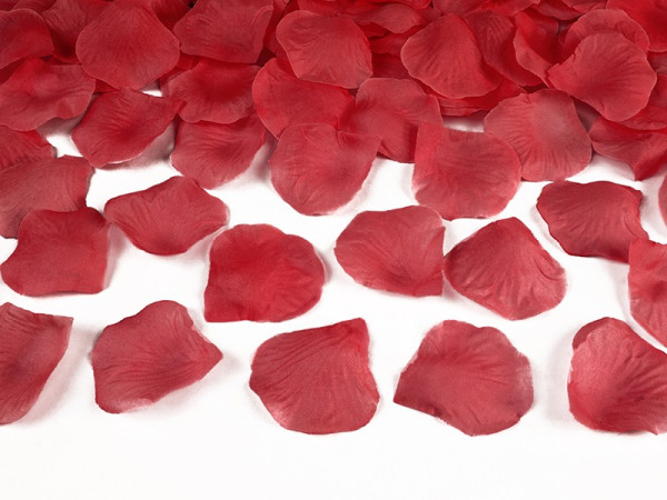 100 pétales de rose rouges