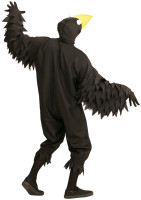 Costume corvo Renato