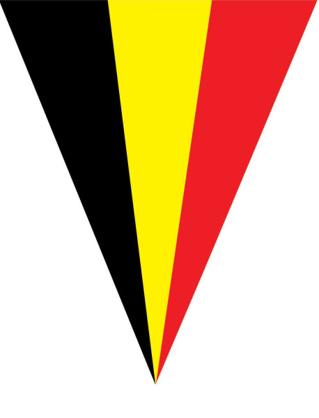 Cadena de banderines de Bélgica 5m