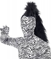 Vorschau: Zebra Pferde Mähnen Harreif