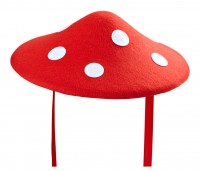 Fly agaric hat