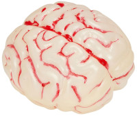 Aperçu: Décoration Halloween Bloody brain avec fonction lumineuse
