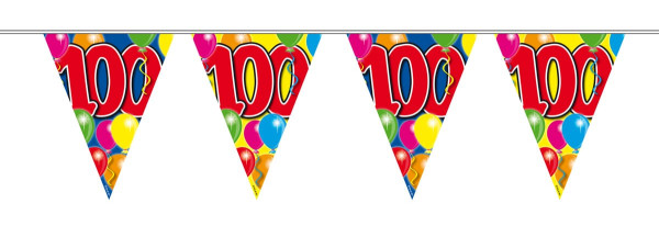 Kleurrijke 100ste verjaardag wimpel ketting 10m
