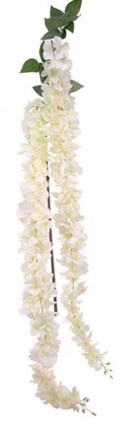 2 white decorative wisteria 1.7m