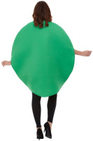 Förhandsgranskning: Galen vattenmelon kostym för vuxna