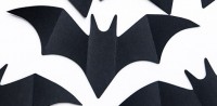 Oversigt: 10-delt bat konfetti sæt