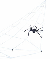 Spookhuis XXL spinnenweb